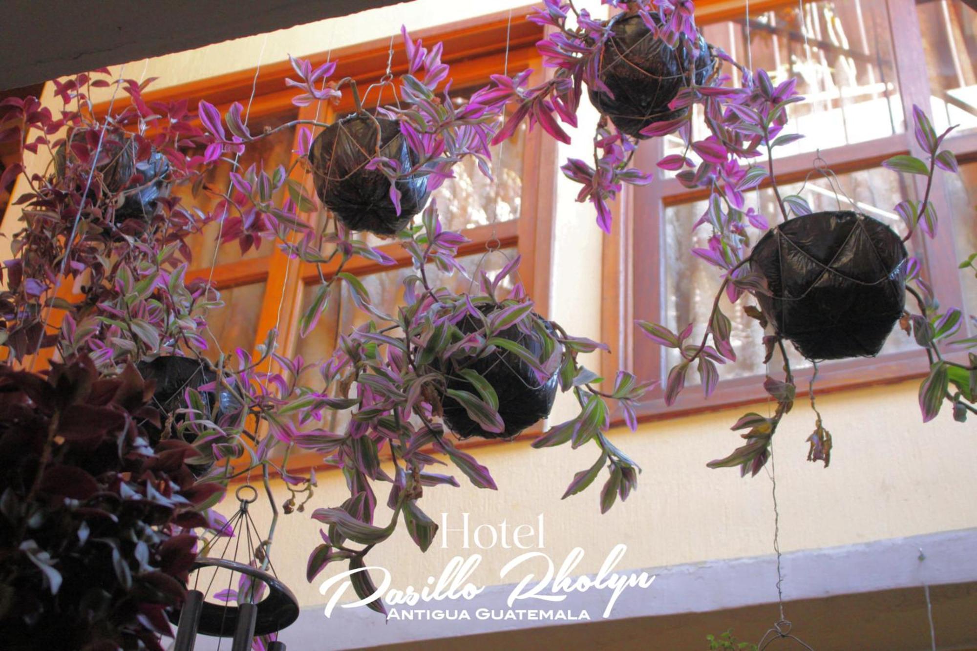 Hotel Rholyn Pura Vida !! Antigua Екстер'єр фото