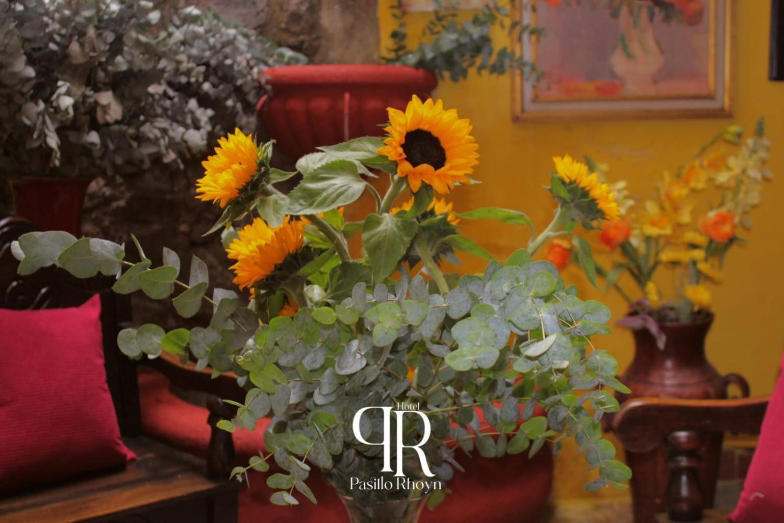 Hotel Rholyn Pura Vida !! Antigua Екстер'єр фото