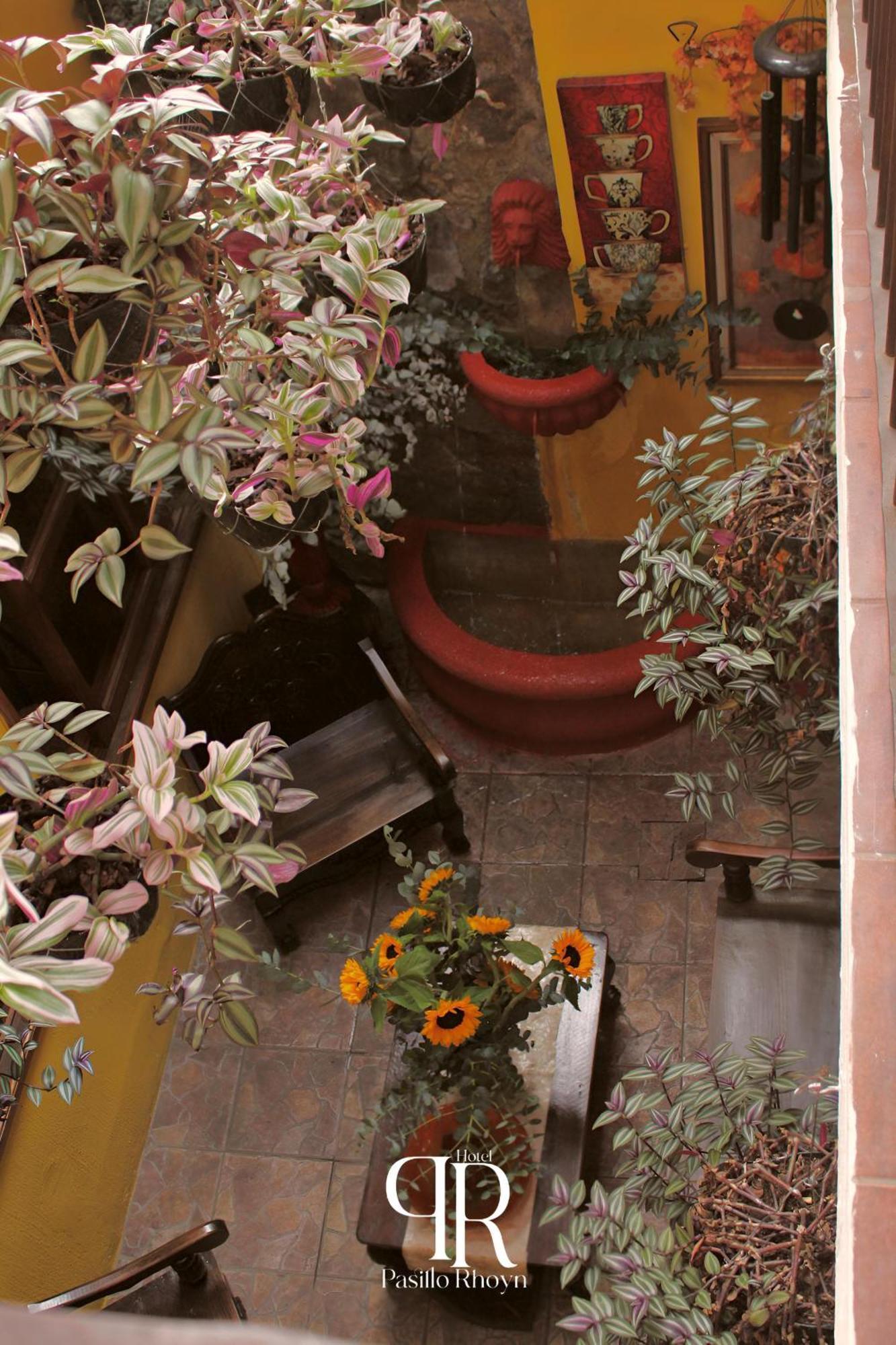 Hotel Rholyn Pura Vida !! Antigua Екстер'єр фото
